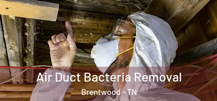 Air Duct Bacteria Removal Brentwood - TN