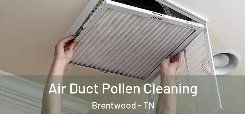 Air Duct Pollen Cleaning Brentwood - TN