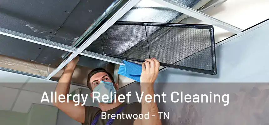 Allergy Relief Vent Cleaning Brentwood - TN