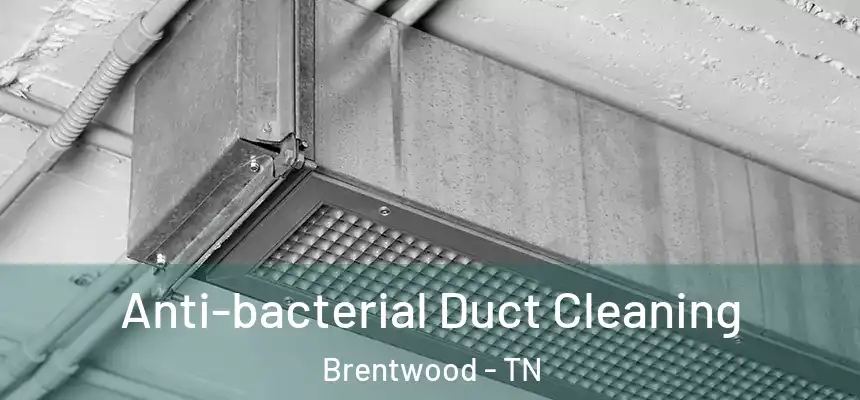  Anti-bacterial Duct Cleaning Brentwood - TN