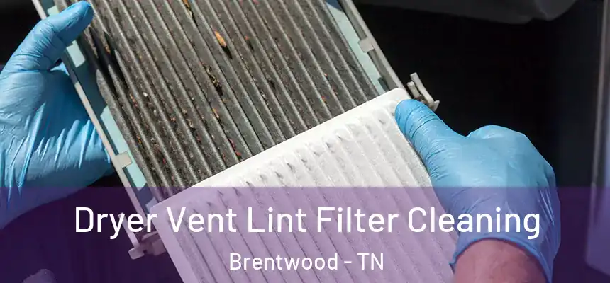 Dryer Vent Lint Filter Cleaning Brentwood - TN