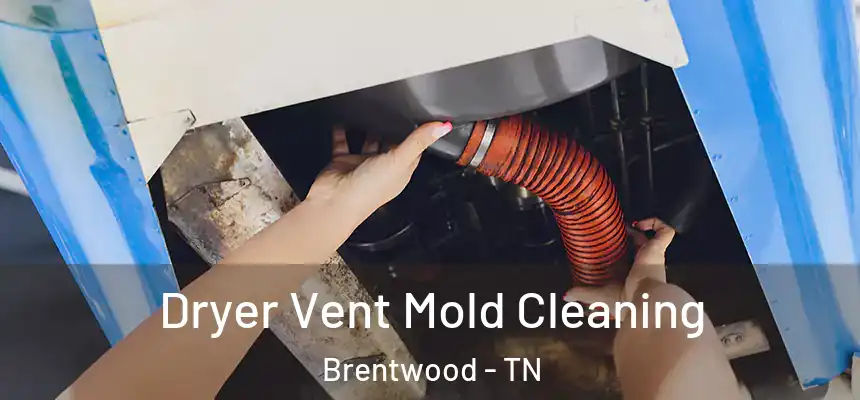 Dryer Vent Mold Cleaning Brentwood - TN