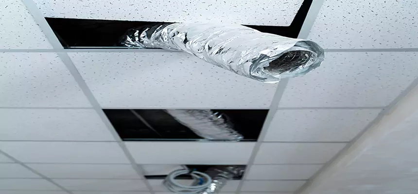 Affordable HVAC Sanitizing After Pest Removal in Brentwood