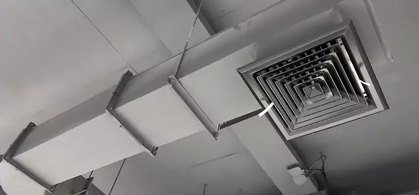 Our Pest Removal From Ducts Services in Brentwood, TN