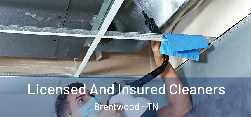 Licensed And Insured Cleaners Brentwood - TN