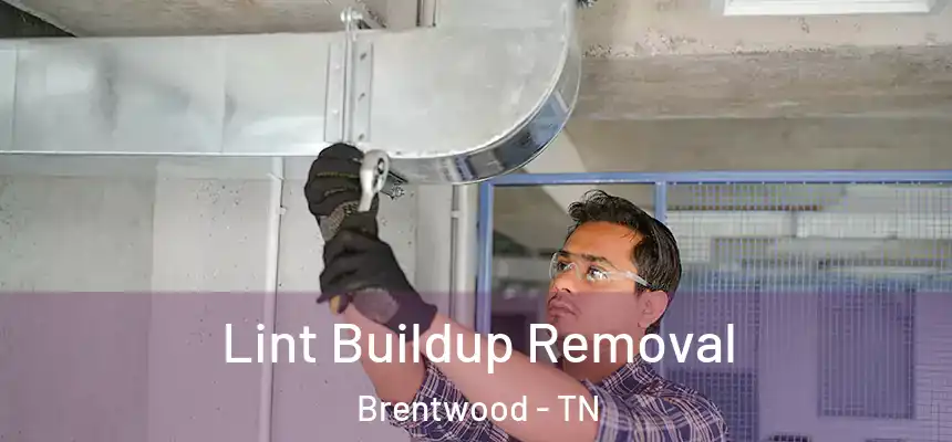 Lint Buildup Removal Brentwood - TN