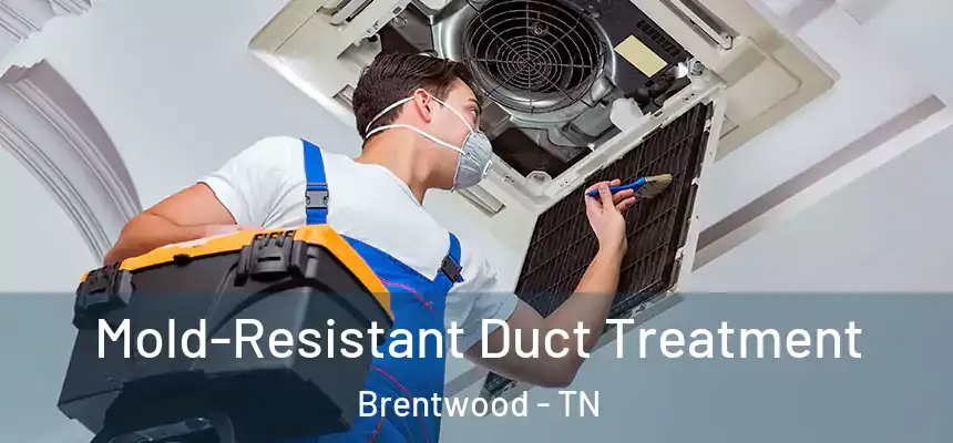  Mold-Resistant Duct Treatment Brentwood - TN