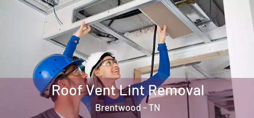 Roof Vent Lint Removal Brentwood - TN