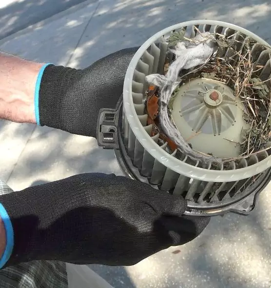 About Air Duct Mice Removal in Brentwood, TN