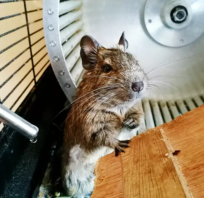 Why Homeowners & Businesses Trust Us Brentwood, TN?