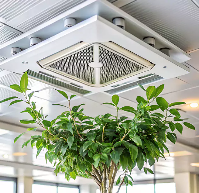 Why Homeowners & Businesses Trust Us in Brentwood, TN?