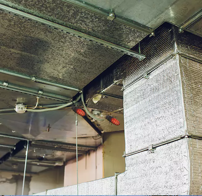 Why Homeowners & Businesses Trust Us Brentwood, TN?