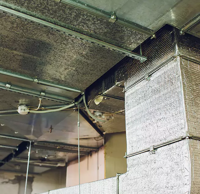 Why Homeowners & Businesses Trust Us in Brentwood, TN?