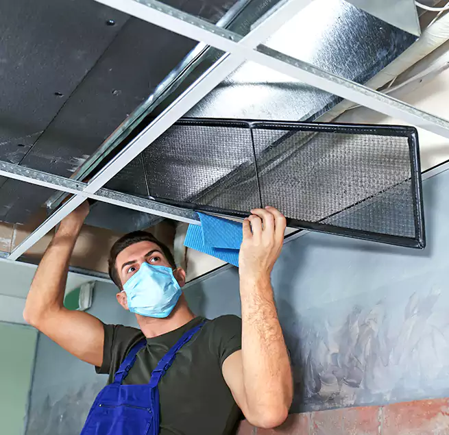 Why Homeowners Businesses Trust Us in Brentwood, TN